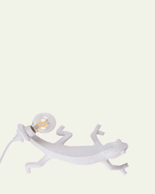Chameleon Going Down USB Wall Lamp